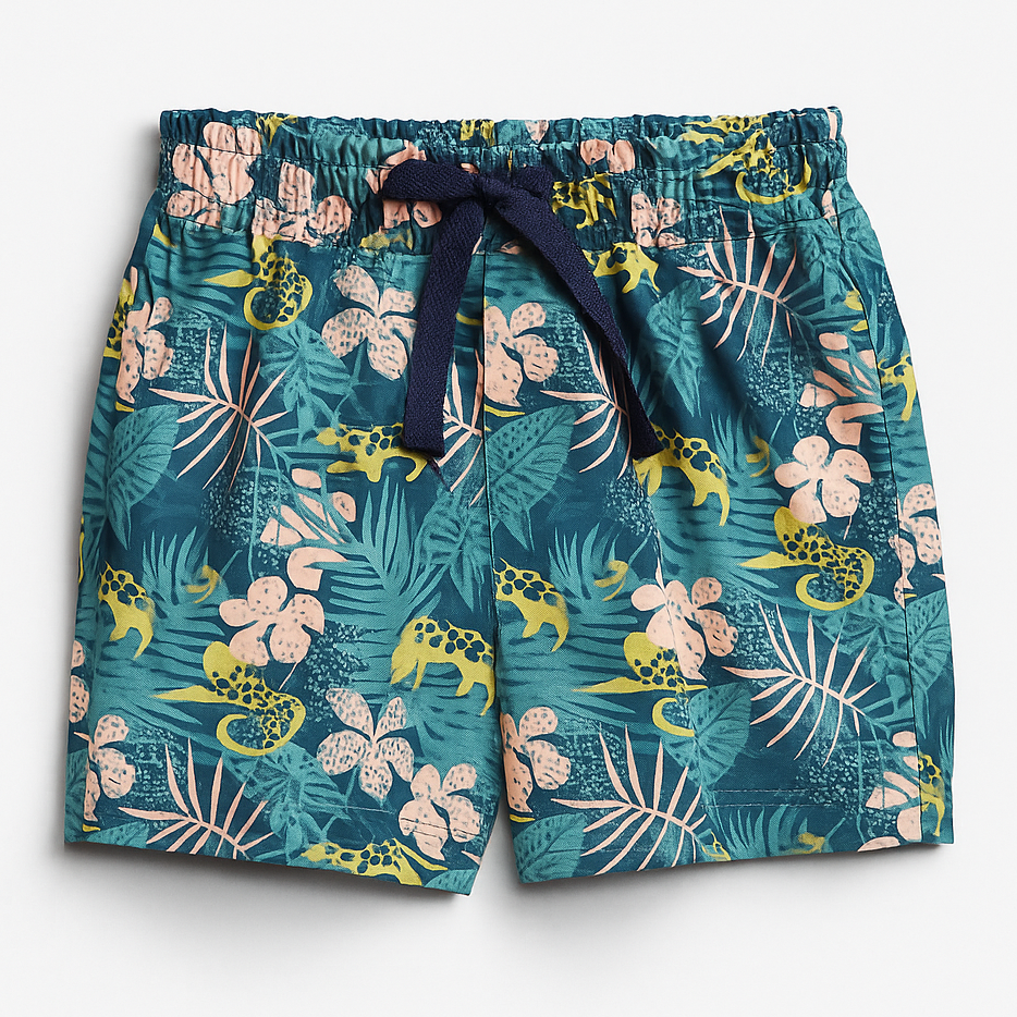 Gui Trunks - Corcovado Print