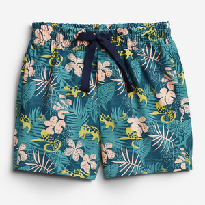 Gui Trunks - Corcovado Print